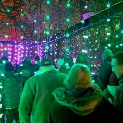 Impressionen Weihnachten im Tierpark - Personen im Lichtergang