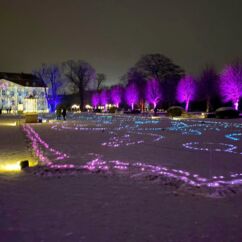 Impressionen Weihnachten im Tierpark - beleuchtete Blumenbeete und Bäume vor dem Schloß Friedrichsfelde