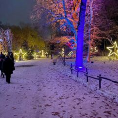 Impressionen Weihnachten im Tierpark - beleuchtete Bäume und Sterne