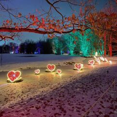 Impressionen Weihnachten im Tierpark - leuchtende Herzen auf einem zugefrorenen Wasserlauf